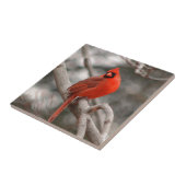 Natuur Tegeltje (Zijkant)