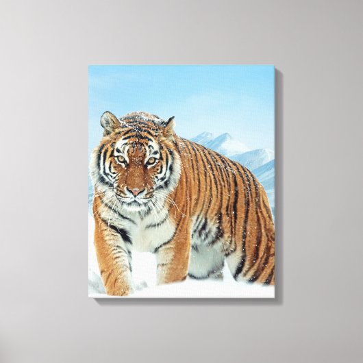 Natuur Tiger Winter Snow Mountains Canvas Afdruk (Voorkant)