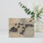 Natuur Tiny Black Tadpoles Briefkaart (Staand voorkant)