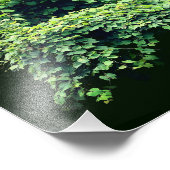 Natuur Troon Wild Leafy Vines 8x10 Foto Afdruk (Hoek)
