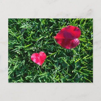 Natuur valentijn: hartvormig rood blad feestdagenkaart