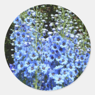 Natuur van de tuinbouwbloem ronde sticker