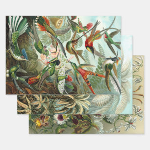 Natuur van Ernst Haeckel - Papieren pakbladen Inpakpapier Vel