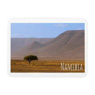 Natuur van het Afrikaanse woestijnlandschap in Nam Magneet