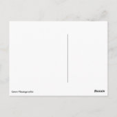 natuur van insecten briefkaart (Achterkant)