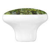 Natuur van lentemaple keramische knop (Zijkant)