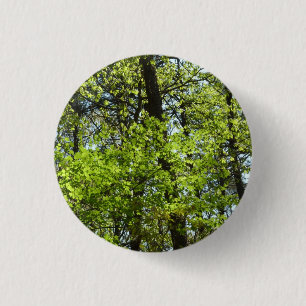 Natuur van lentemaple ronde button 3,2 cm