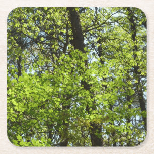 Natuur van lentemaple vierkante kartonnen onderzetter