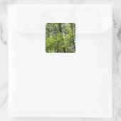 Natuur van lentemaple vierkante sticker (Tas)