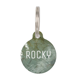 Natuur van Rock Slab met waterdekking Huisdierpenning