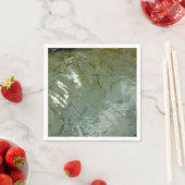 Natuur van Rock Slab met waterdekking Servet (Insitu)