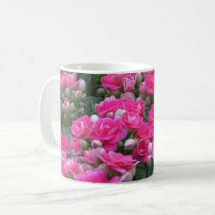 Natuur van Springtime Foto van Garden Blooms Roze  Koffiemok