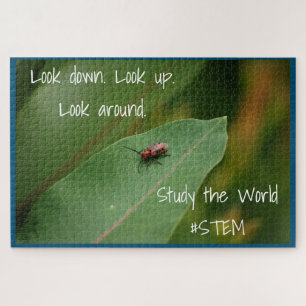 NATUUR van STEM-insectenblad Legpuzzel