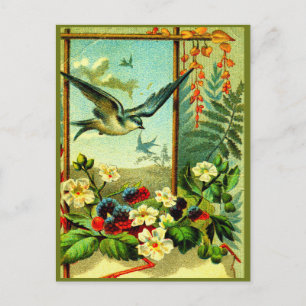 'Natuur vieren' in stijl! Briefkaart