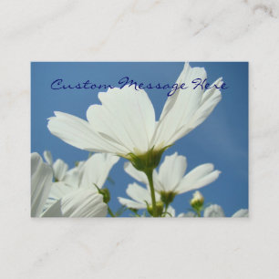 Natuur Visitekaartjes White Daisy Flowers Blue Sky