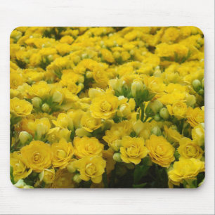 Natuur Vivid Yellow Flower Bloom Foto Floral Muismat