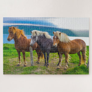 Natuur voor prachtige IJslandse paarden Legpuzzel