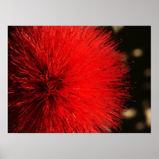 Natuur vuurwerk poster