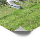 Natuur - we zoeken naar vrede poster (Hoek)