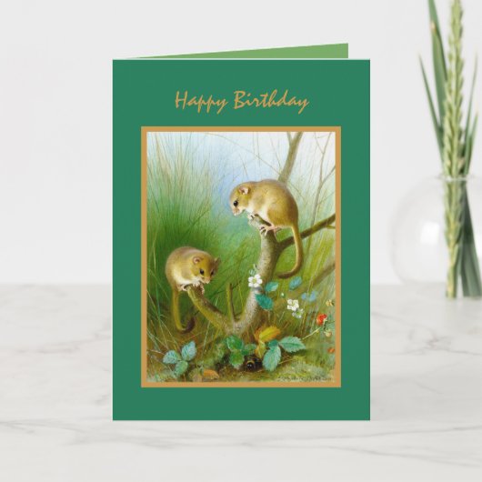 Natuur Wild Life Leuke Dieren Happy Birthday Kaart (Voorkant)