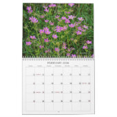 Natuur Wilde Bloemen Kalender (Feb 2026)