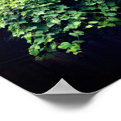 Natuur - Wilde Leafy-wijnstokken Poster (Hoek)
