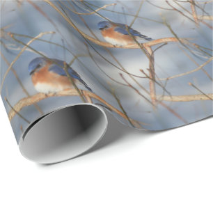Natuur winterblauwvogel   cadeaupapier