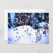 Natuur wintersneeuwblazen Bomen Briefkaart (Voorkant / Achterkant)