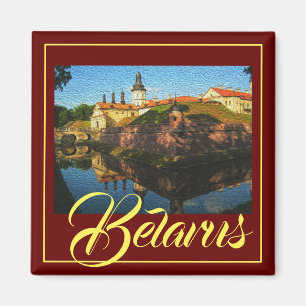 Natuur Wit-Rusland Nesvizh Palace Architecture Mag Magneet