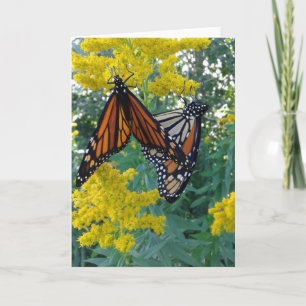 Natuur Wonders Two Butterflies Kaart