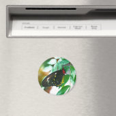 Natuur zwarte vlinder magneet (Insitu (Vaatwasser))