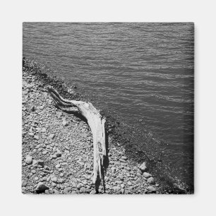 Natuurbalans - Driftwood-stille bioscoop Magneet