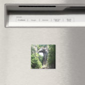 Natuurbrug Magneet (Insitu (Vaatwasser))