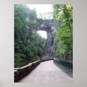 Natuurbrug Va Poster
