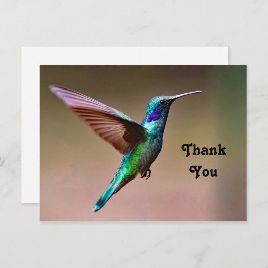 Natuurfoto Groene Kolibrie Bedankt Briefkaart (Voorkant / Achterkant)