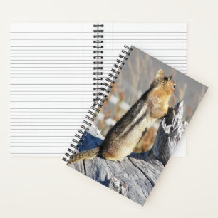 Natuurfoto van goudmantelgrondeekhoorn notitieboek
