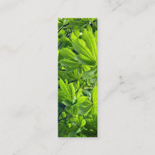 Natuurfotografie Groene Bladeren Boeklegger Nieuw Mini Visitekaartje