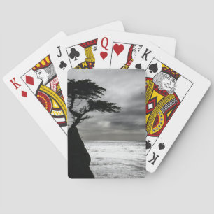 Natuurfotografie Zwart en Wit Pokerkaarten