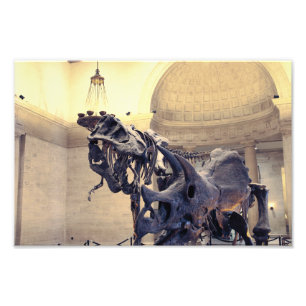 Natuurhistorisch museum van Los Angeles  Foto Afdruk