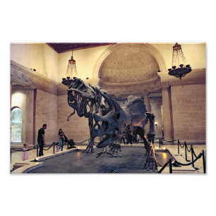 Natuurhistorisch museum van Los Angeles  Foto Afdruk