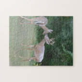 Natuurliefhebber Legpuzzel (Horizontaal)