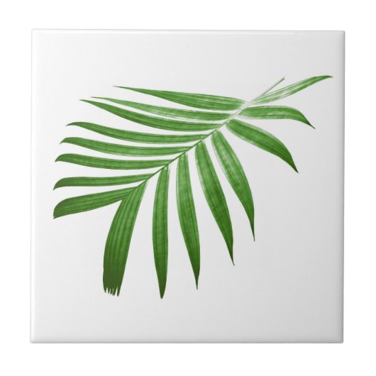 Natuurlijk modern palm Leaf Tegeltje (Voorkant)