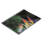 Natuurlijk Notitieboek (Linkerzijde)