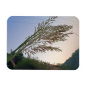 Natuurlijk ontwerp magneet (Horizontaal)