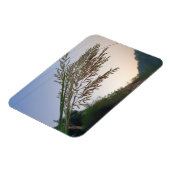 Natuurlijk ontwerp magneet (Linkerzijde)