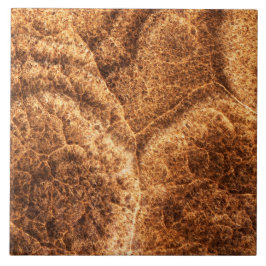 Natuurlijk steenpatroon tegeltje