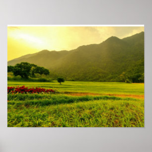 Natuurlijke behang design geschikt voor alle kamer poster