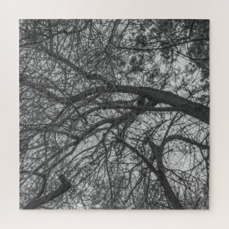 Natuurlijke Chaos Puzzel