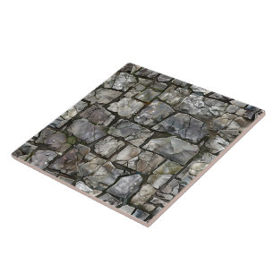 Natuurlijke Elegante Flagstone Tegels Tegeltje