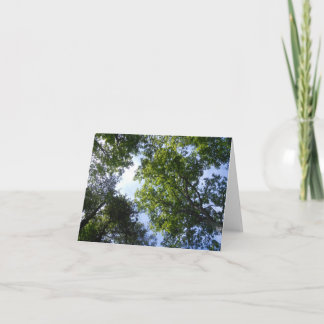 Natuurlijke groene kaart